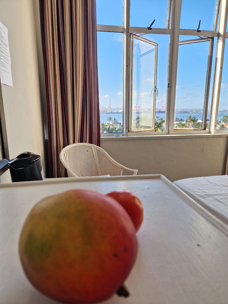 The_global_entity_Durban_hotel