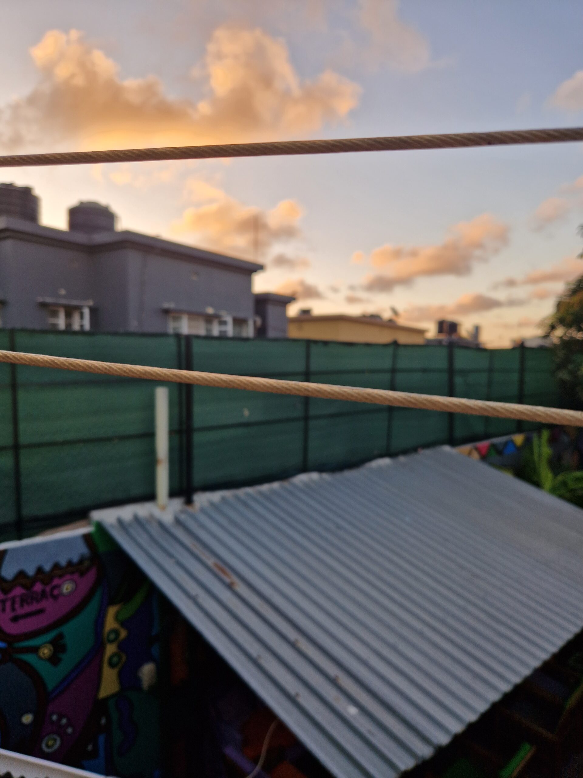 Bed Bugs and Beyond: A Stumbling New Beginning in Mozambique